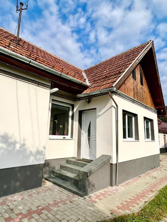 Silver House Rasnov מראה חיצוני תמונה