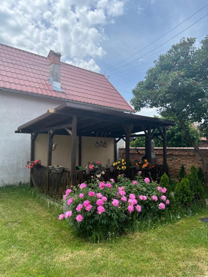 Silver House Rasnov מראה חיצוני תמונה